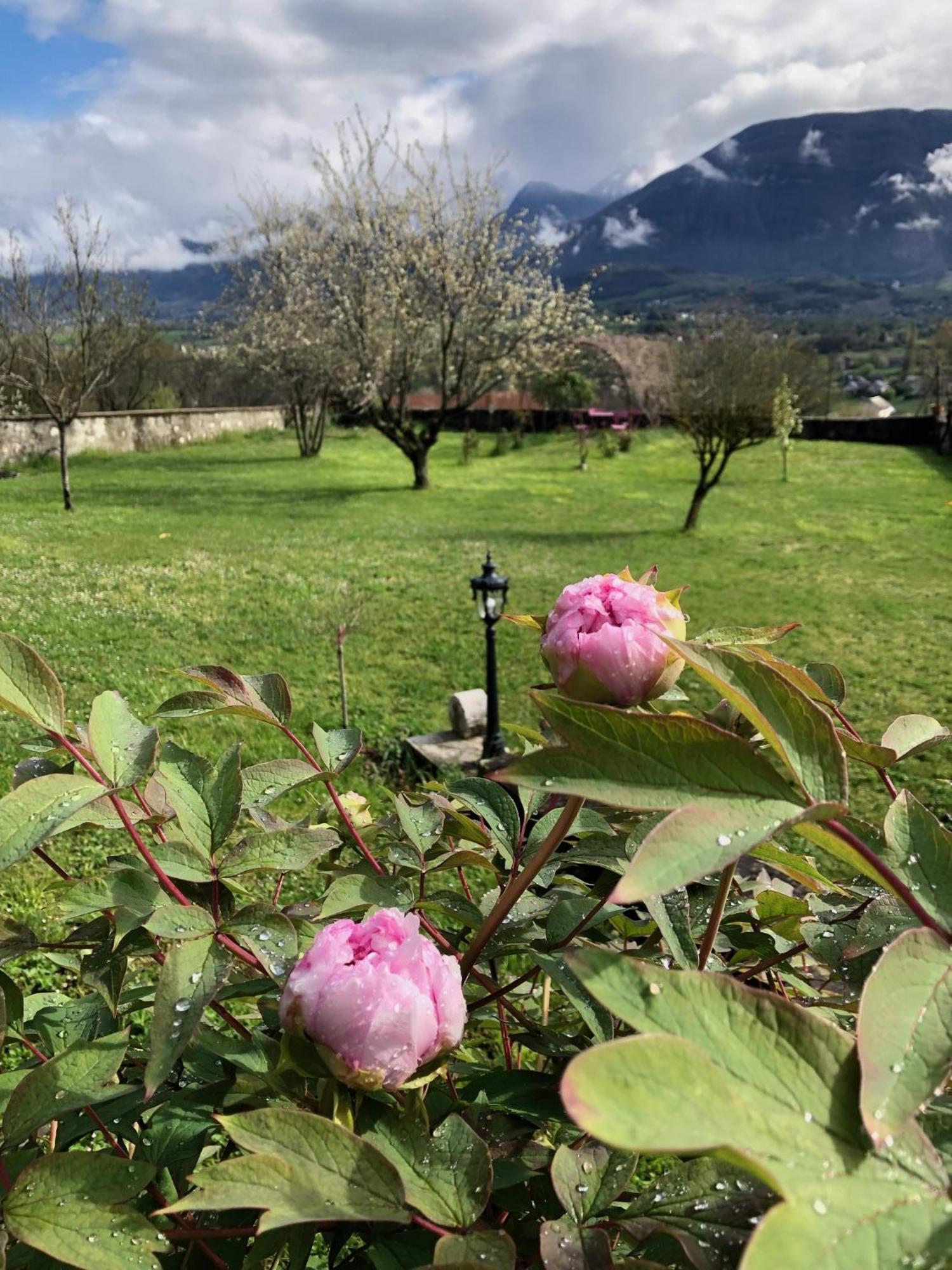 אפרמון Chateau D'Apremont מראה חיצוני תמונה